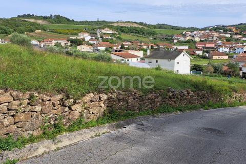 Terra a Batalha, Leiria, Batalha - € 29.000 | Ref: ZMPT565474 - foto 23