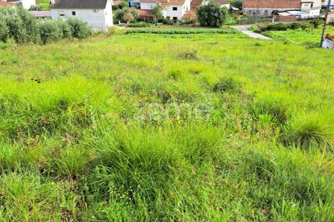 Terra a Batalha, Leiria, Batalha - € 29.000 | Ref: ZMPT565474 - foto 24