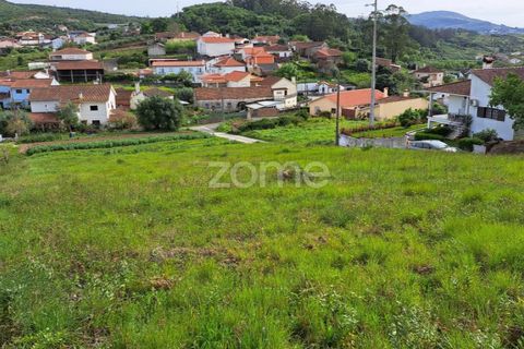 Terra a Batalha, Leiria, Batalha - € 29.000 | Ref: ZMPT565474 - foto 26