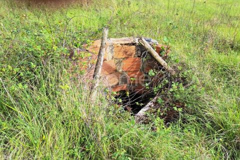 Terra a Batalha, Leiria, Batalha - € 29.000 | Ref: ZMPT565474 - foto 27