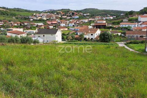 Terra a Batalha, Leiria, Batalha - € 29.000 | Ref: ZMPT565474 - foto 31