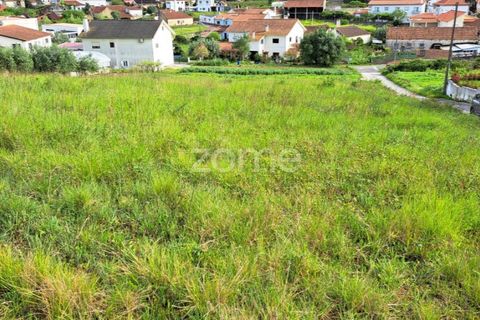 Terra a Batalha, Leiria, Batalha - € 29.000 | Ref: ZMPT565474 - foto 32