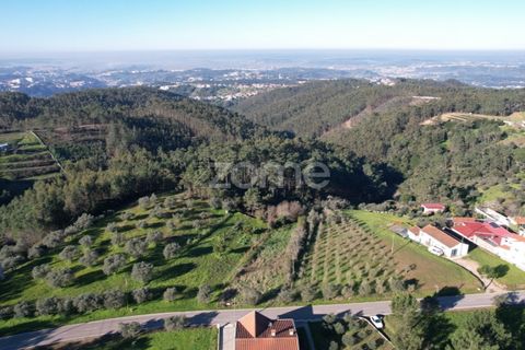 Helårsgrund i Coimbra, Coimbra, Coimbra - € 75.000 | Ref: ZMPT573386 - foto 5