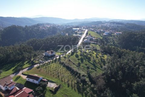Helårsgrund i Coimbra, Coimbra, Coimbra - € 75.000 | Ref: ZMPT573386 - foto 7
