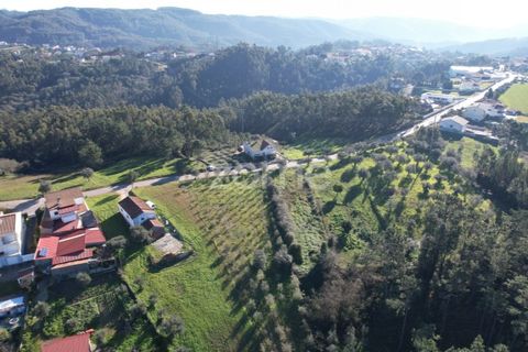Helårsgrund i Coimbra, Coimbra, Coimbra - € 75.000 | Ref: ZMPT573386 - foto 8