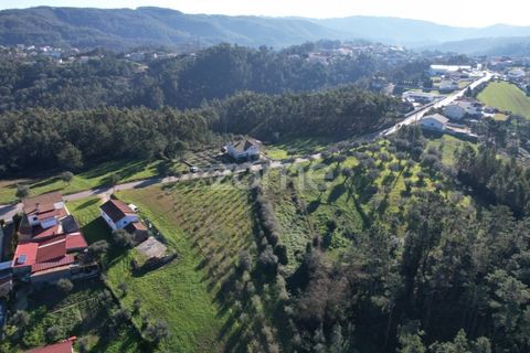 Helårsgrund i Coimbra, Coimbra, Coimbra - € 75.000 | Ref: ZMPT573386 - foto 9