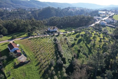 Helårsgrund i Coimbra, Coimbra, Coimbra - € 75.000 | Ref: ZMPT573386 - foto 10