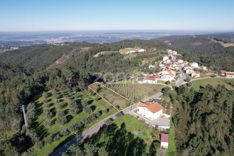Helårsgrund i Coimbra, Coimbra, Coimbra - € 75.000 | Ref: ZMPT573386 - foto 3