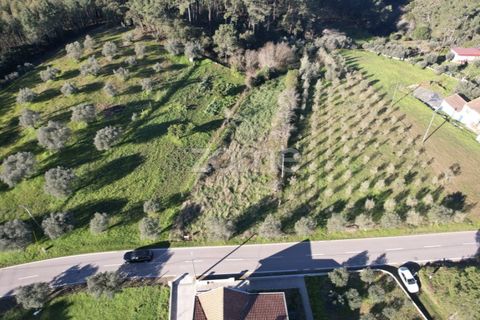 Helårsgrund i Coimbra, Coimbra, Coimbra - € 75.000 | Ref: ZMPT573386 - foto 4