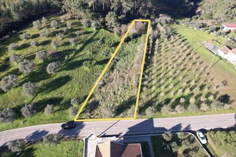 Helårsgrund i Coimbra, Coimbra, Coimbra - € 75.000 | Ref: ZMPT573386 - foto 2