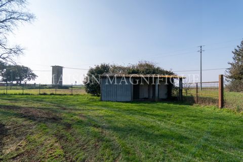 Villa a Codigoro, Ferrara, Codigoro - € 163.000 | Ref: 07VL057 - foto 48