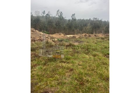 Land in Valongo, Porto, Valongo - € 750/month | Ref: PC_11306 - photo 2