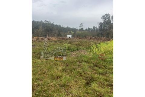 Land in Valongo, Porto, Valongo - € 750/month | Ref: PC_11306 - photo 3