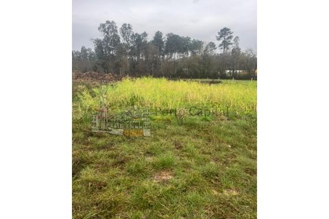 Land in Valongo, Porto, Valongo - € 750/month | Ref: PC_11306 - photo 15