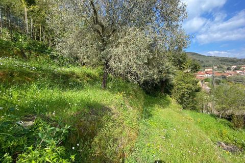Byhus i Ameglia, La Spezia, Ameglia - € 180.000 | Ref: 1052 - foto 10