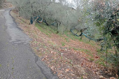 Helårsgrund i Ameglia, La Spezia, Ameglia - € 100.000 | Ref: 1173-1 - foto 5