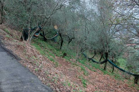 Helårsgrund i Ameglia, La Spezia, Ameglia - € 100.000 | Ref: 1173-1 - foto 6