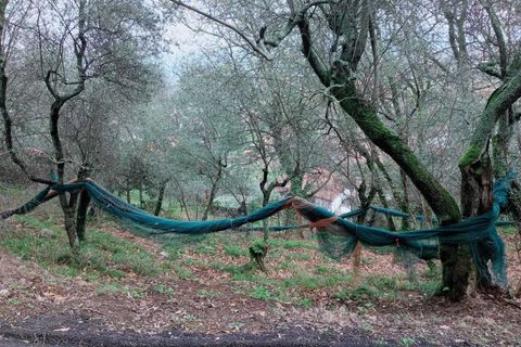 Helårsgrund i Ameglia, La Spezia, Ameglia - € 100.000 | Ref: 1173-1 - foto 7