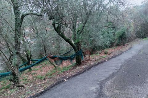 Helårsgrund i Ameglia, La Spezia, Ameglia - € 100.000 | Ref: 1173-1 - foto 8