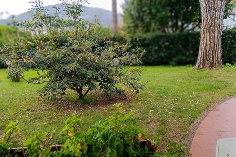 Byhus i Ameglia, La Spezia, Ameglia - € 520.000 | Ref: 1454 - foto 18