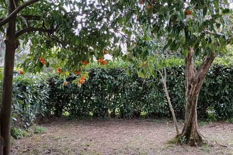 Byhus i Ameglia, La Spezia, Ameglia - € 520.000 | Ref: 1454 - foto 29