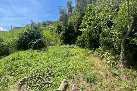 Villa i Ameglia, La Spezia, Ameglia - € 225.000 | Ref: 1144 - foto 2