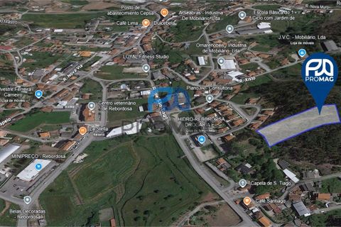 Helårsgrund i Paredes, Porto, Paredes - € 31.500 | Ref: PROMAG#213 - foto 1