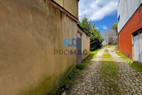 Helårsgrund i Paredes, Porto, Paredes - € 31.500 | Ref: PROMAG#213 - foto 12