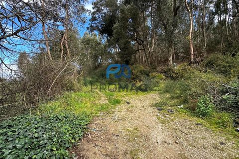 Helårsgrund i Paredes, Porto, Paredes - € 31.500 | Ref: PROMAG#213 - foto 13