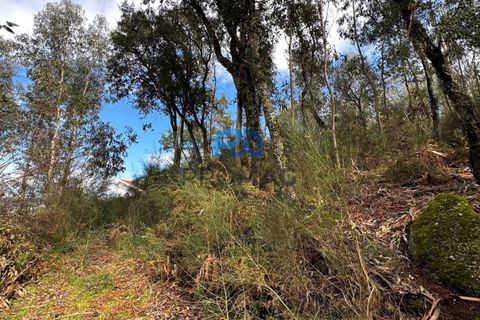 Helårsgrund i Paredes, Porto, Paredes - € 31.500 | Ref: PROMAG#213 - foto 15
