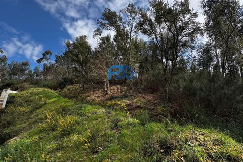 Helårsgrund i Paredes, Porto, Paredes - € 31.500 | Ref: PROMAG#213 - foto 16
