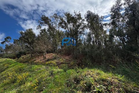 Helårsgrund i Paredes, Porto, Paredes - € 31.500 | Ref: PROMAG#213 - foto 17