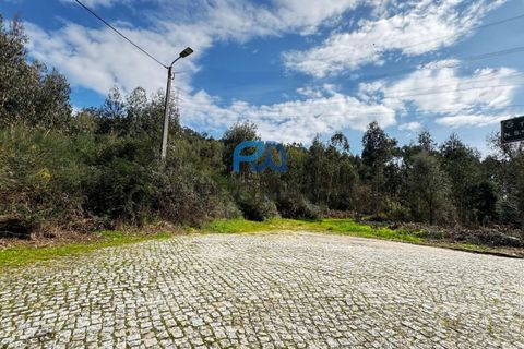 Helårsgrund i Paredes, Porto, Paredes - € 36.500 | Ref: PROMAG#214 - foto 11
