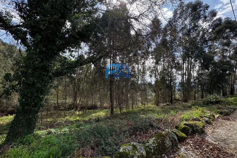Helårsgrund i Paredes, Porto, Paredes - € 36.500 | Ref: PROMAG#214 - foto 12