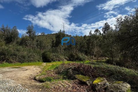 Helårsgrund i Paredes, Porto, Paredes - € 36.500 | Ref: PROMAG#214 - foto 13