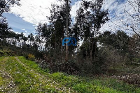 Helårsgrund i Paredes, Porto, Paredes - € 36.500 | Ref: PROMAG#214 - foto 15