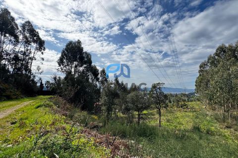 Helårsgrund i Paredes, Porto, Paredes - € 36.500 | Ref: PROMAG#214 - foto 16