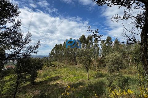 Helårsgrund i Paredes, Porto, Paredes - € 36.500 | Ref: PROMAG#214 - foto 17