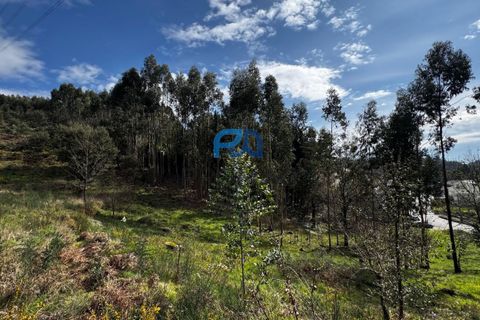 Helårsgrund i Paredes, Porto, Paredes - € 36.500 | Ref: PROMAG#214 - foto 21