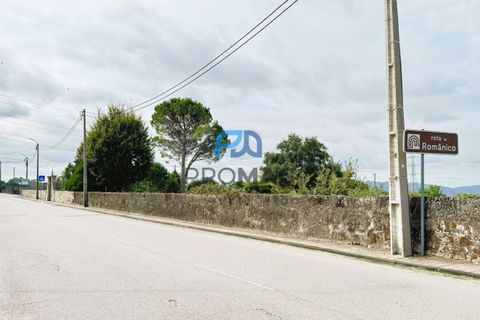 Helårsgrund i Paredes, Porto, Paredes - € 36.500 | Ref: PROMAG#214 - foto 5