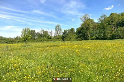 Villa a Tôtes, Seine-Maritime, Tôtes - € 414.000 | Ref: 84661615 - foto 14