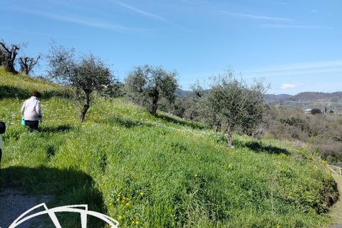 Helårsgrund i Carmignano, Prato, Carmignano - € 220.000 | Ref: DC220 - TERRENO - foto 2