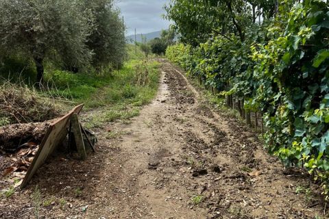 Grond in Prato, Prato, Prato - € 58.000 | Ref: DC48 - TERRENO - foto 1