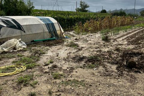 Grond in Prato, Prato, Prato - € 58.000 | Ref: DC48 - TERRENO - foto 2