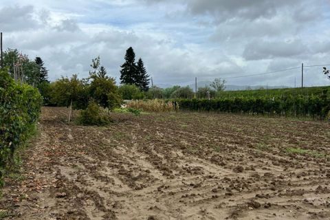 Grond in Prato, Prato, Prato - € 58.000 | Ref: DC48 - TERRENO - foto 5