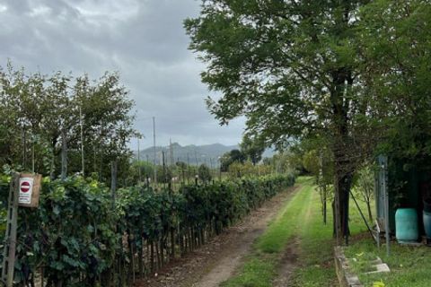 Grond in Prato, Prato, Prato - € 58.000 | Ref: DC48 - TERRENO - foto 9