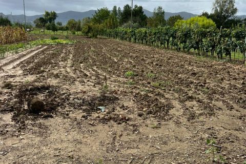 Grond in Prato, Prato, Prato - € 58.000 | Ref: DC48 - TERRENO - foto 11