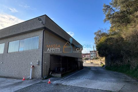 Erhvervsejendom i Massa, Massa and Carrara, Massa - € 1.300.000 | Ref: 3334 - foto 3