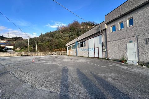 Erhvervsejendom i Massa, Massa and Carrara, Massa - € 1.300.000 | Ref: 3334 - foto 7