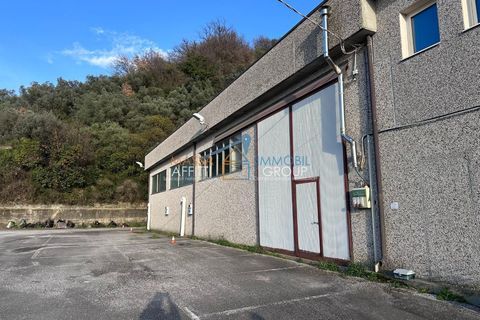 Erhvervsejendom i Massa, Massa and Carrara, Massa - € 1.300.000 | Ref: 3334 - foto 8